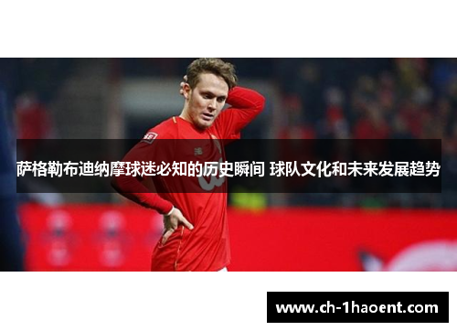 萨格勒布迪纳摩球迷必知的历史瞬间 球队文化和未来发展趋势
